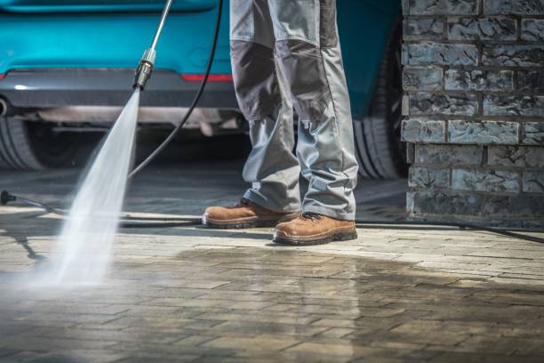 Best Winterizing Services  in Colonia, NJ
