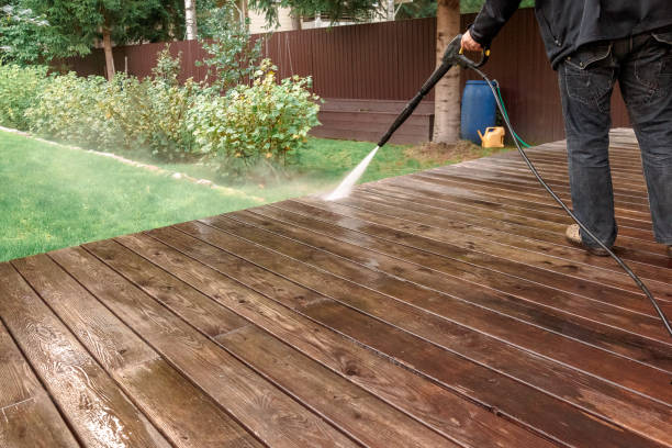 Best Solar Panel Cleaning  in Colonia, NJ