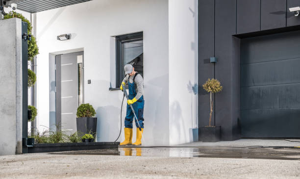 Best Rust Removal  in Colonia, NJ